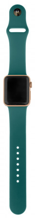 Ремешок для умных часов InterStep Sport Apple Watch 42/44мм силиконовый Green