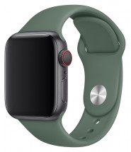 Ремешок для умных часов Everstone ES-AWBS-108 Apple Watch 38/40мм силиконовый Green