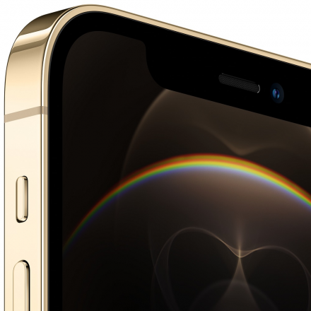 Смартфон Apple iPhone 12 Pro 256G Золотой «Как новый»