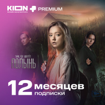 Цифровой продукт KION + Premium подписка 12 мес