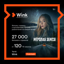 Цифровой продукт Wink 6 месяцев