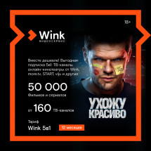 Цифровой продукт Wink 5в1 12 месяцев