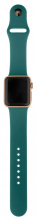 Ремешок для умных часов InterStep Sport Apple Watch 38/40мм силиконовый Green